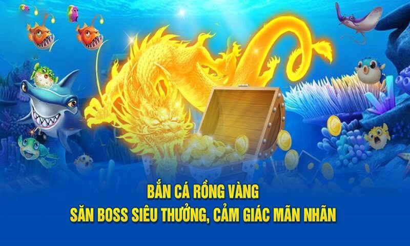Bắn cá rồng bao gồm những sinh vật nào?