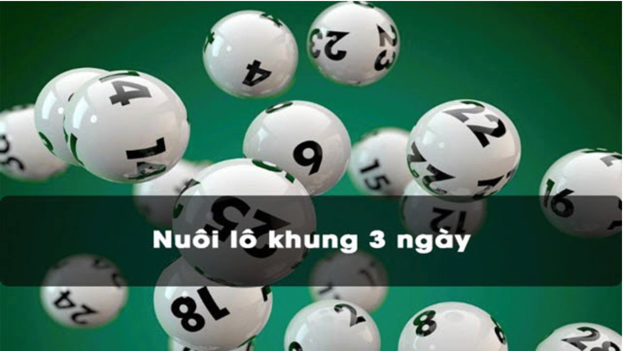 Khung 3 ngày là thời gian phù hợp nhất để nuôi lô